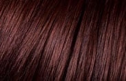 l'oreal hair color chart garnet